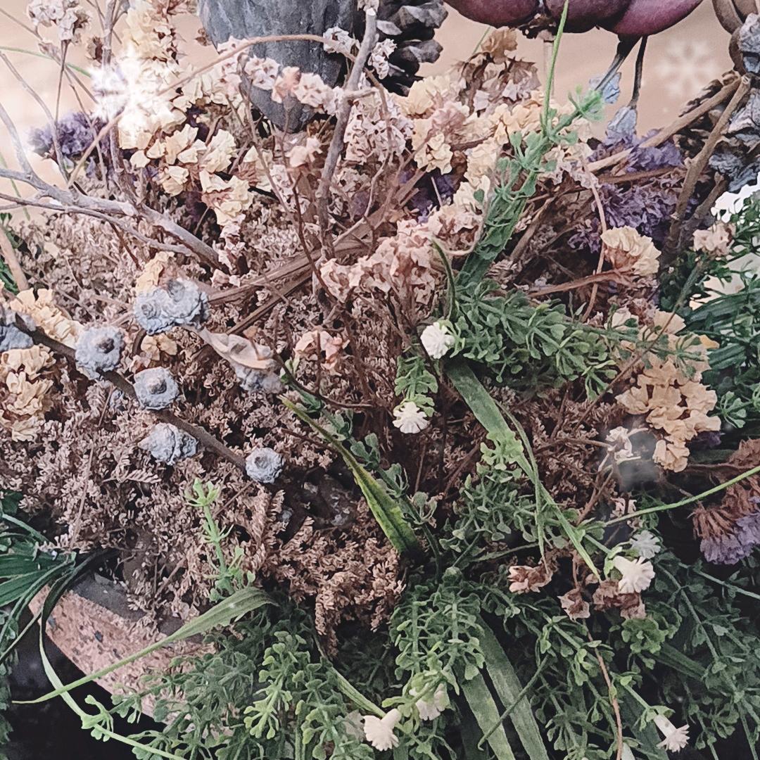 焦雾芸百货