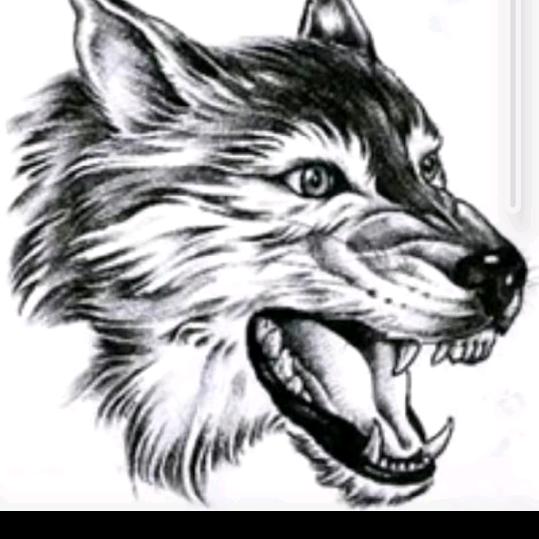 @《战》@《狼》@