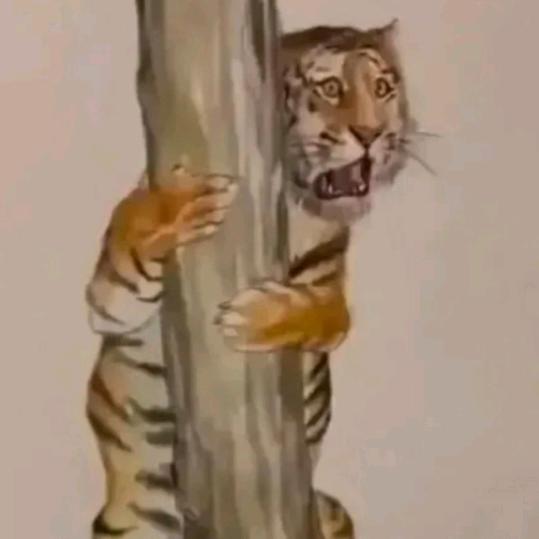 你看我还有机会吗