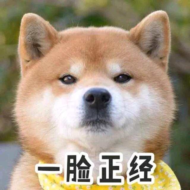 小笨熊