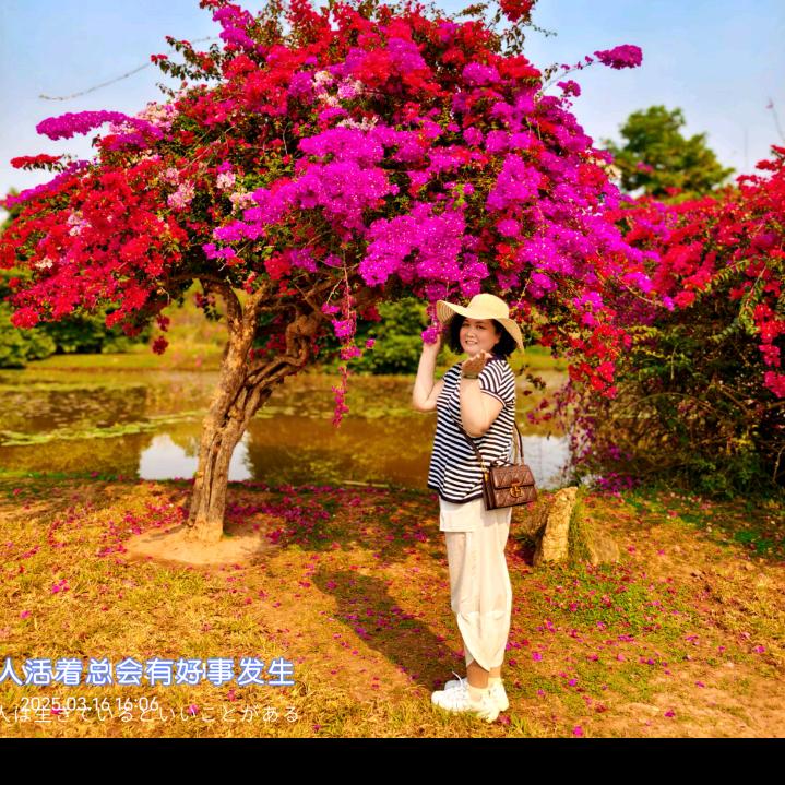 李姐@