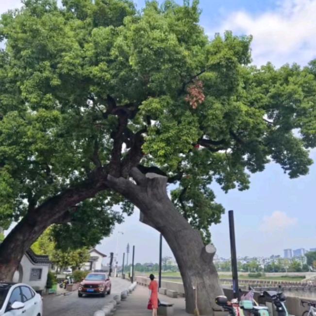 小孔