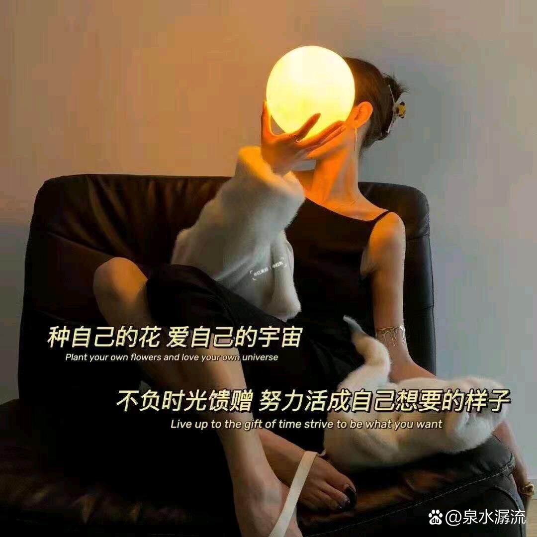 🌻 ღ᭄向阳而生ꦿ࿐