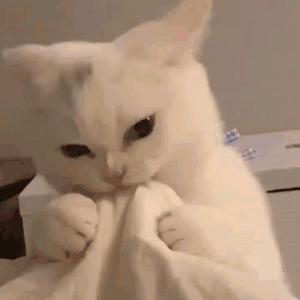 改了名别不认识我