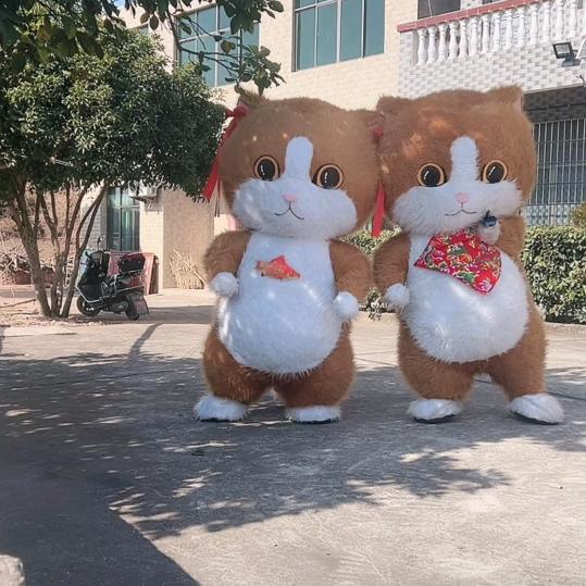 楚楚熊