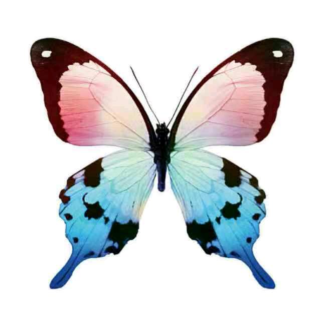 🍀烟汐忆梦🍃