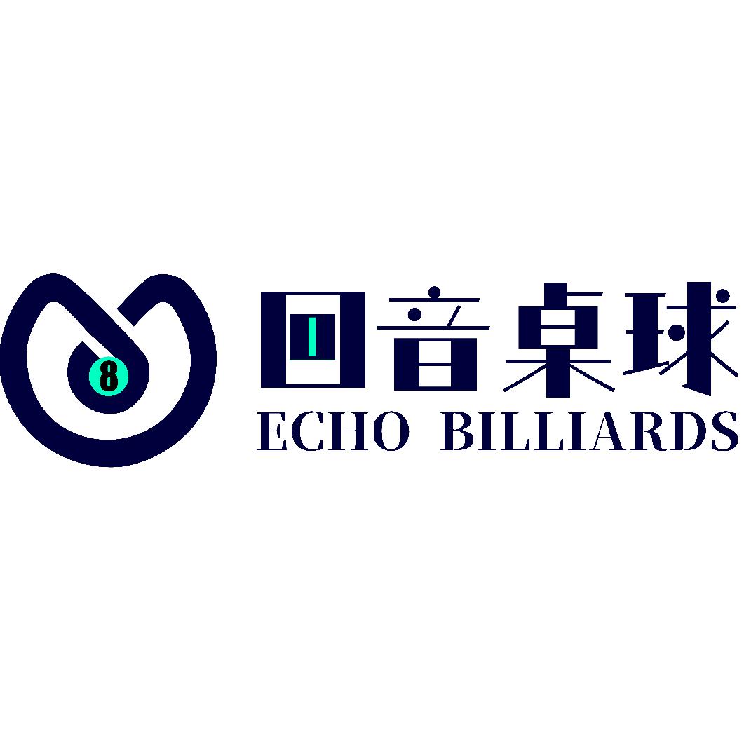 回音桌球俱乐部(力波九坊店)官方号