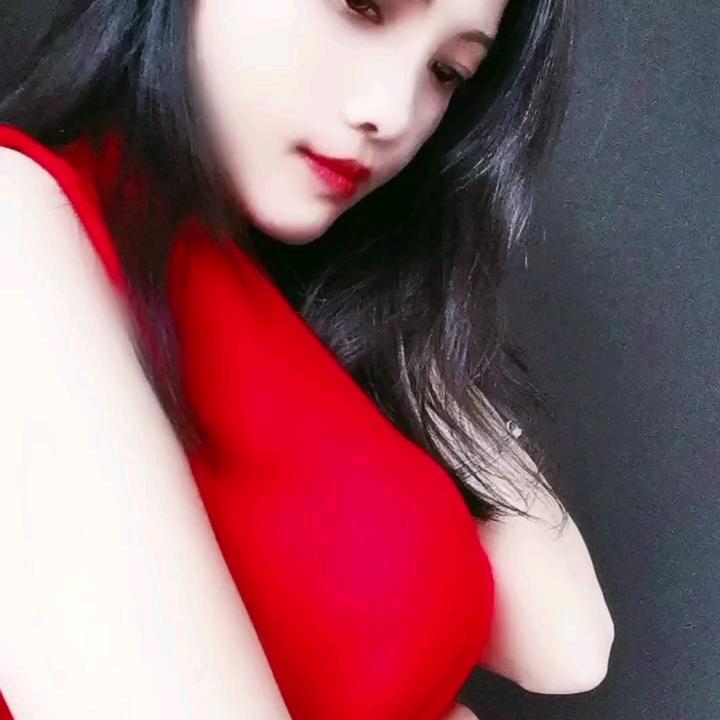 礼笨笨