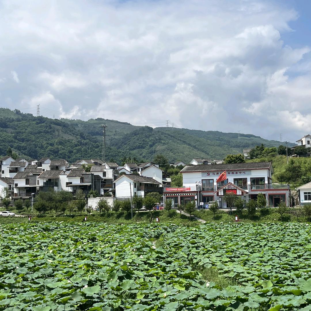 马岩村书记-小杨