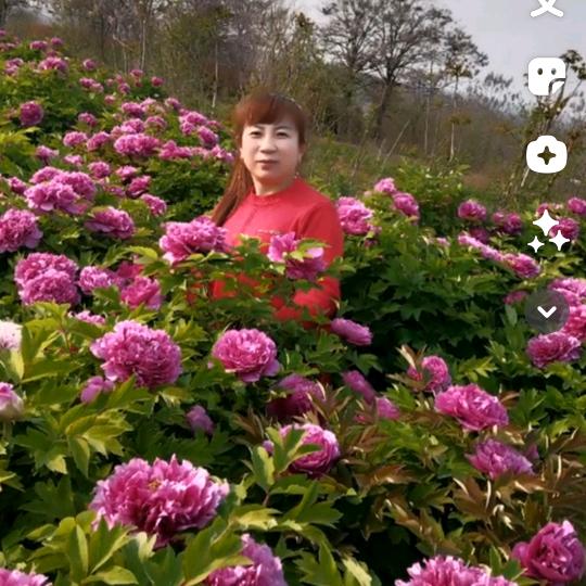 💓🌹人生真善美💓🌹