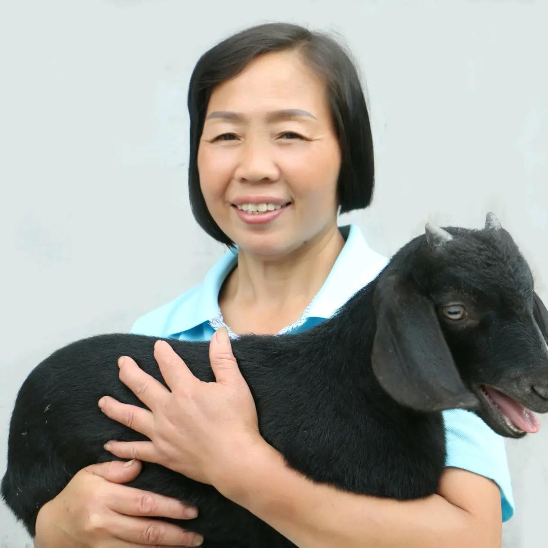 羊十娘(2)
