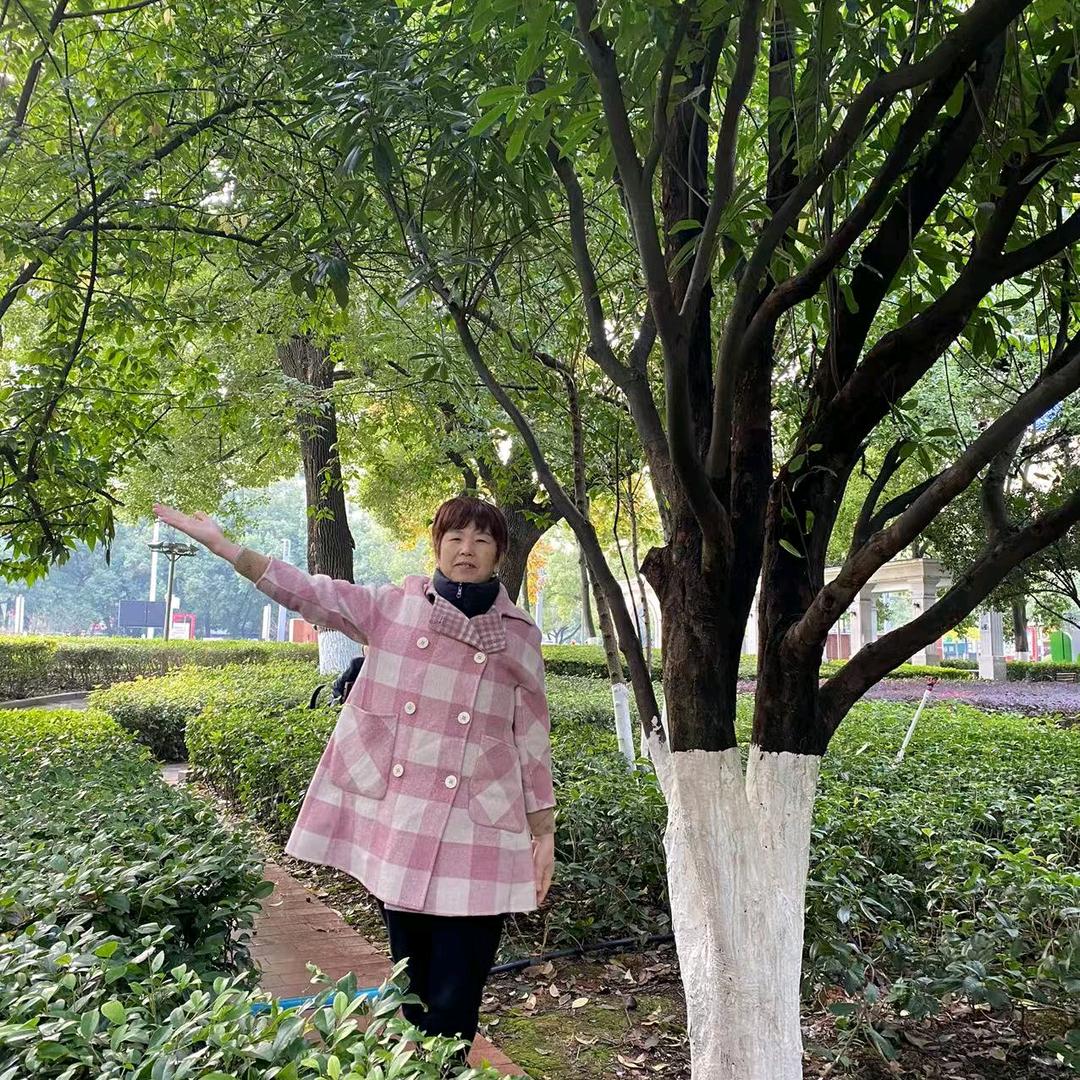 尹姐（邦盛凤凰城）