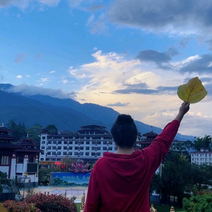 卓尔木