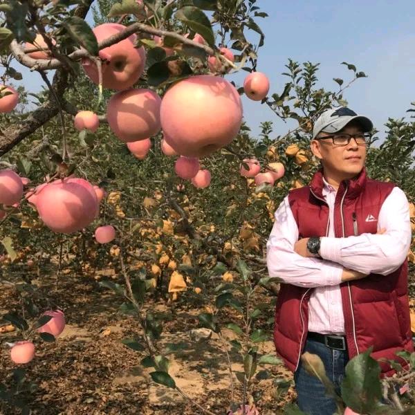 小马哥的江湖