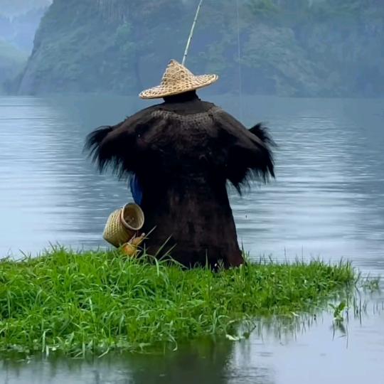 🎣🐟🐟
