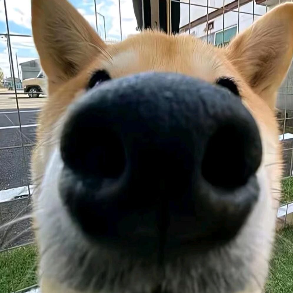 克垃