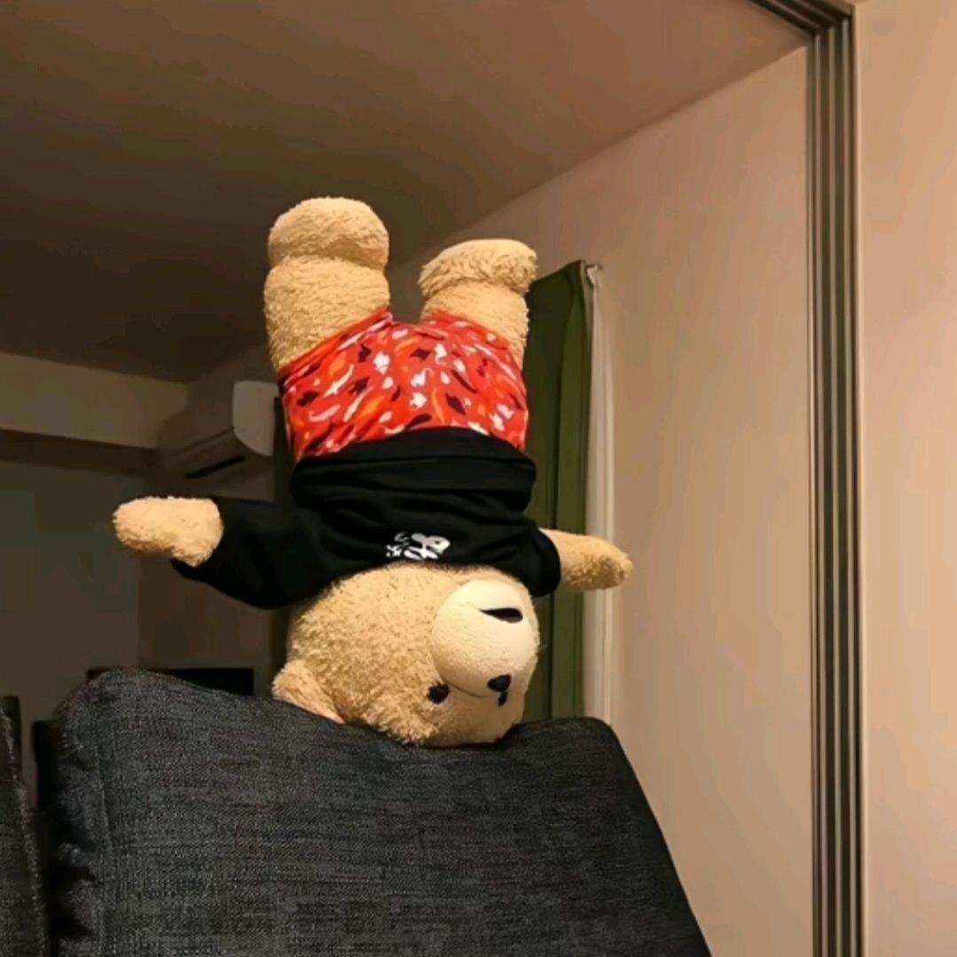 迪仔o