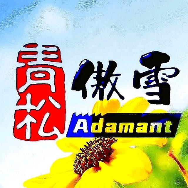 青松傲雪 Adamant