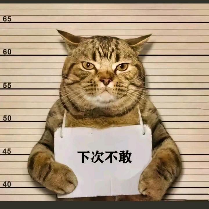 下次不敢