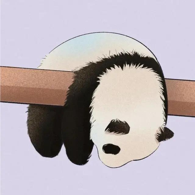 倔强好脾气