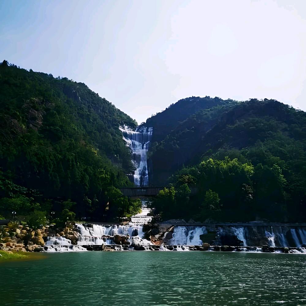 随风而逝