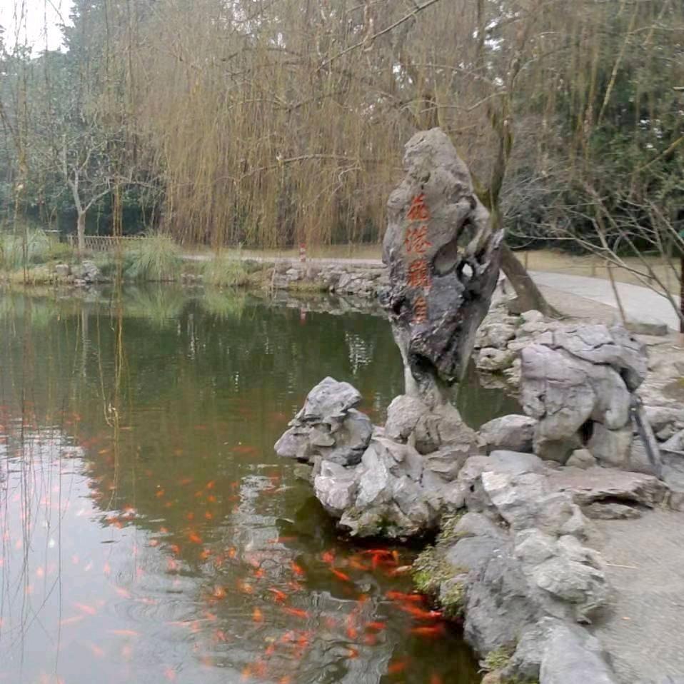 海里一条鱼
