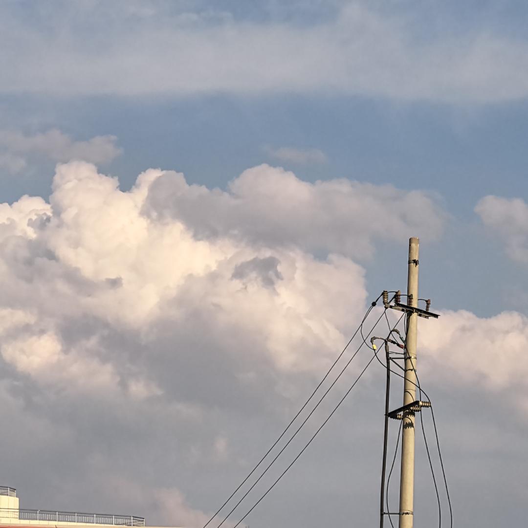 德州云策（少年派健康板）