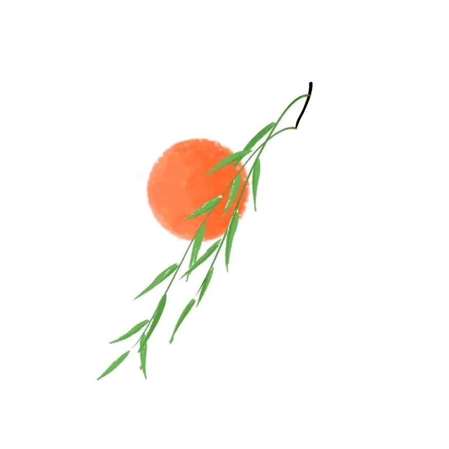 二强想飞