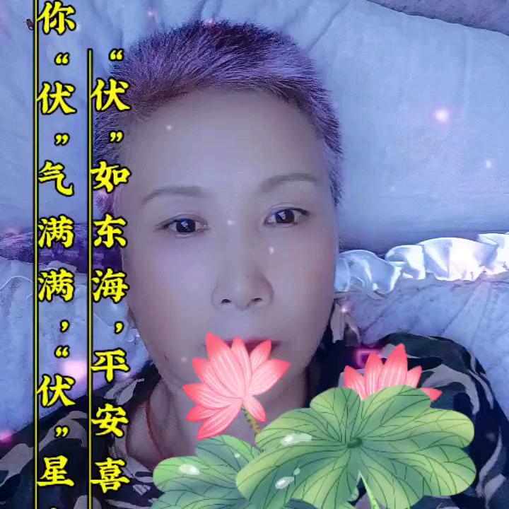 丹参