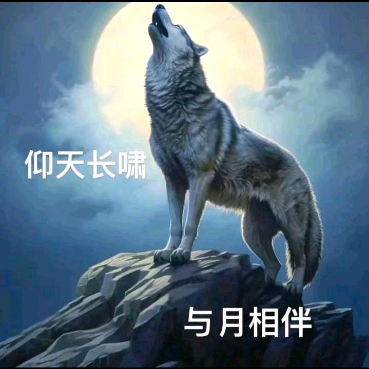 ꧁༺๑.啸玥'&狼神.๑༻꧂
