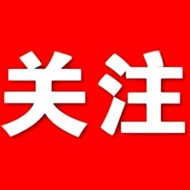 朱七七9937