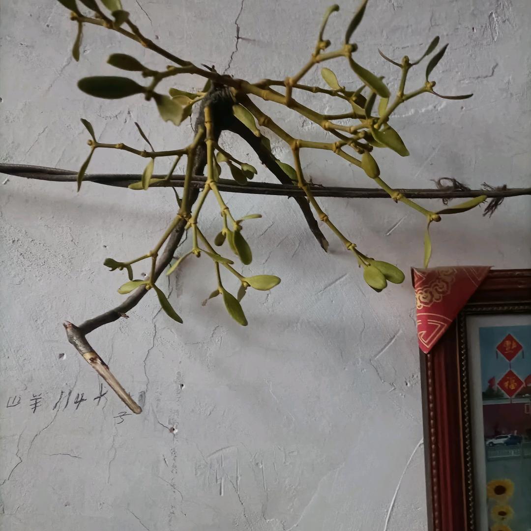 人生过好每一天