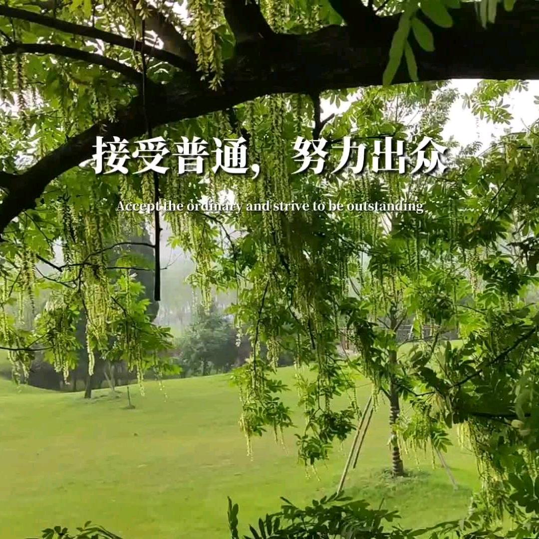 接受普通