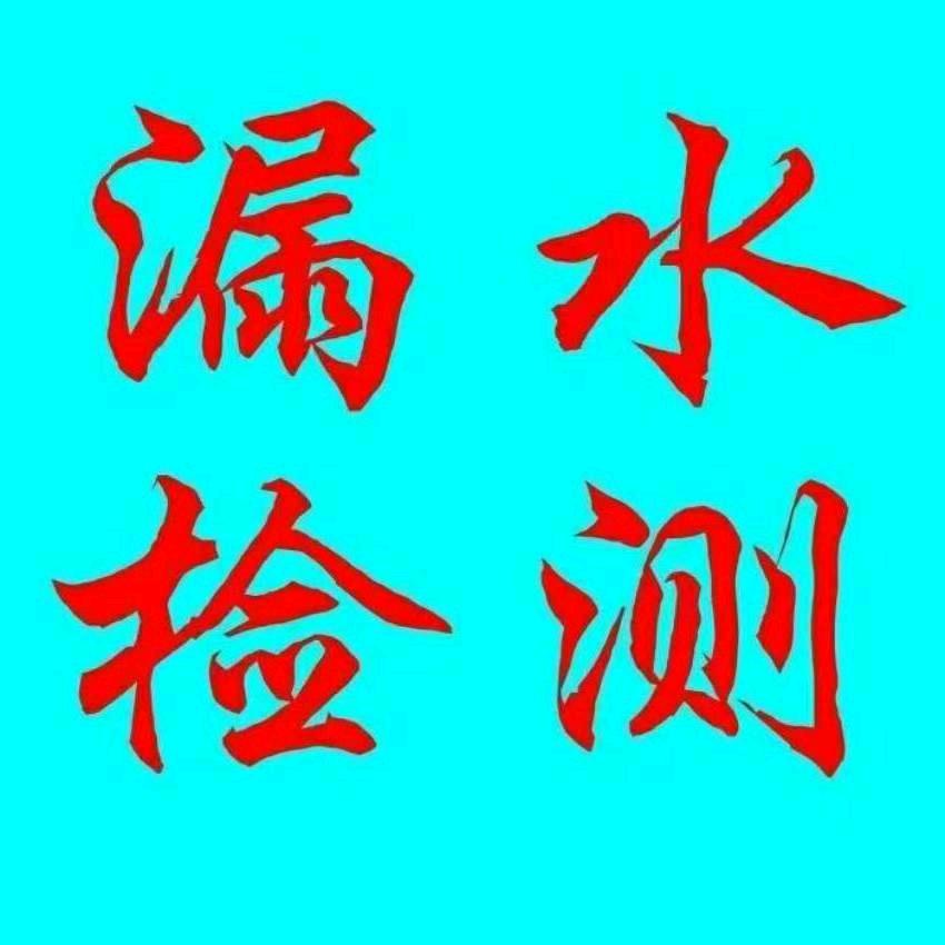 福州兴丽测漏团队