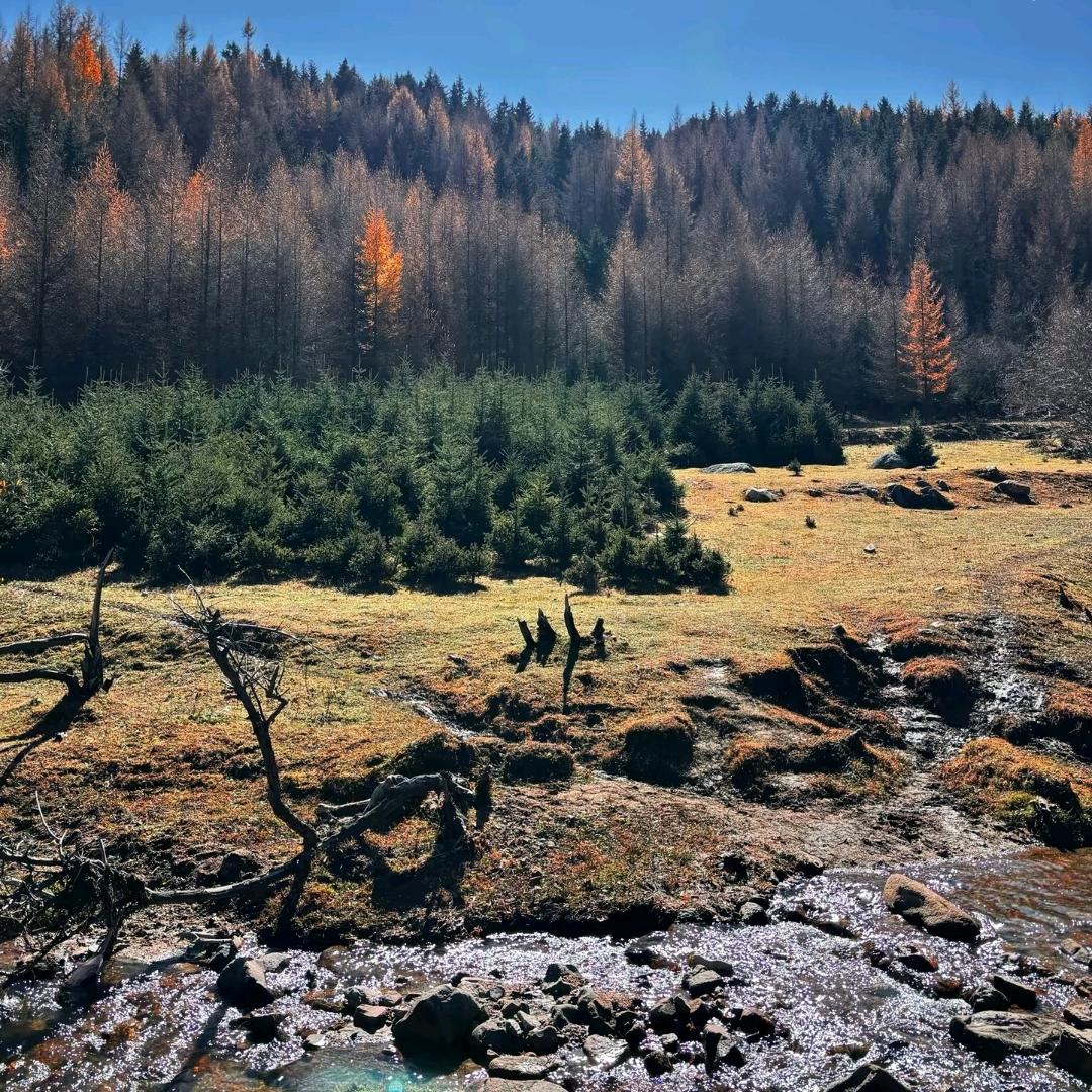 请叫我蟹老板🌊