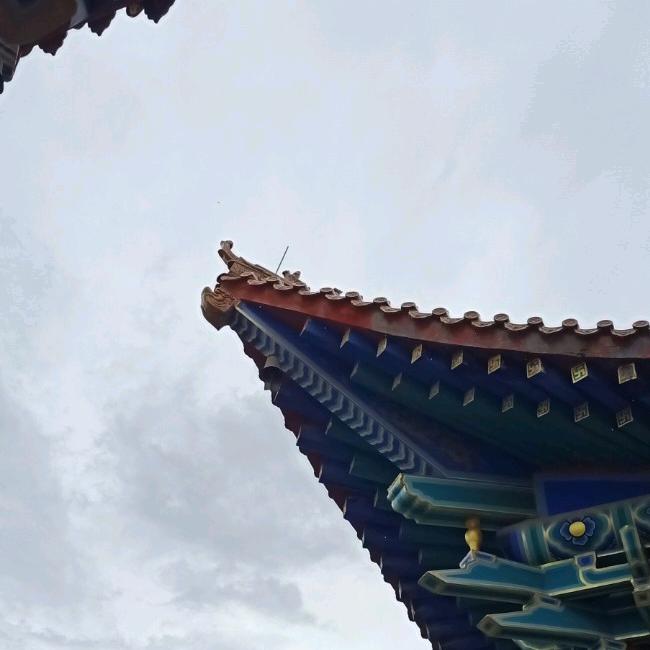 Y
