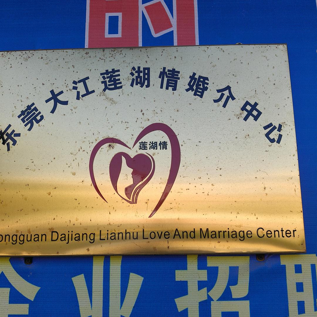 大江莲湖情