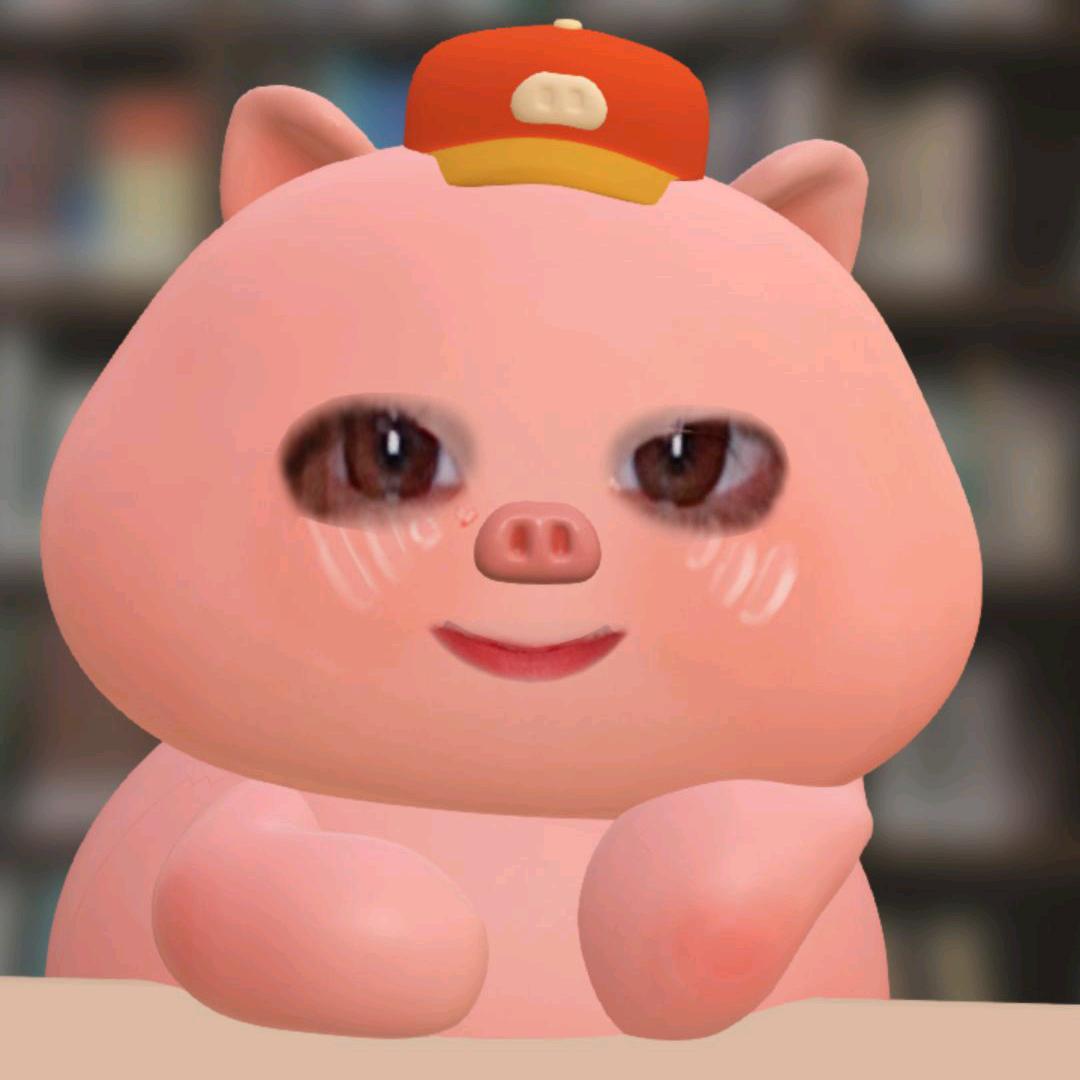 🐷🐷