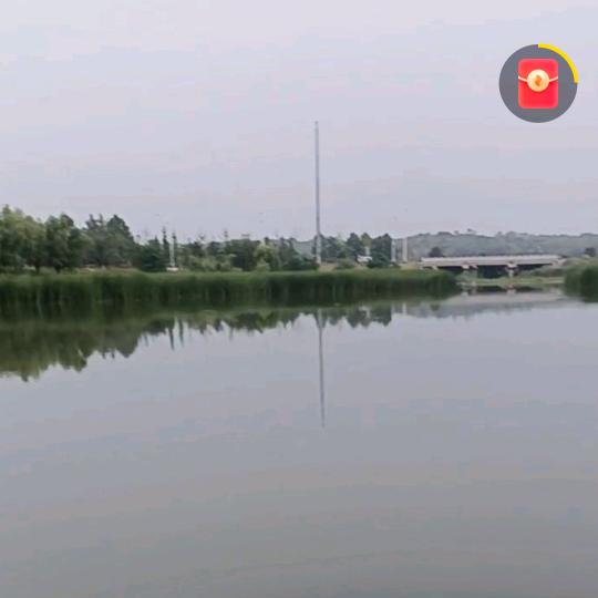 旋泽妈妈