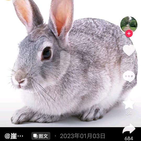 索朗