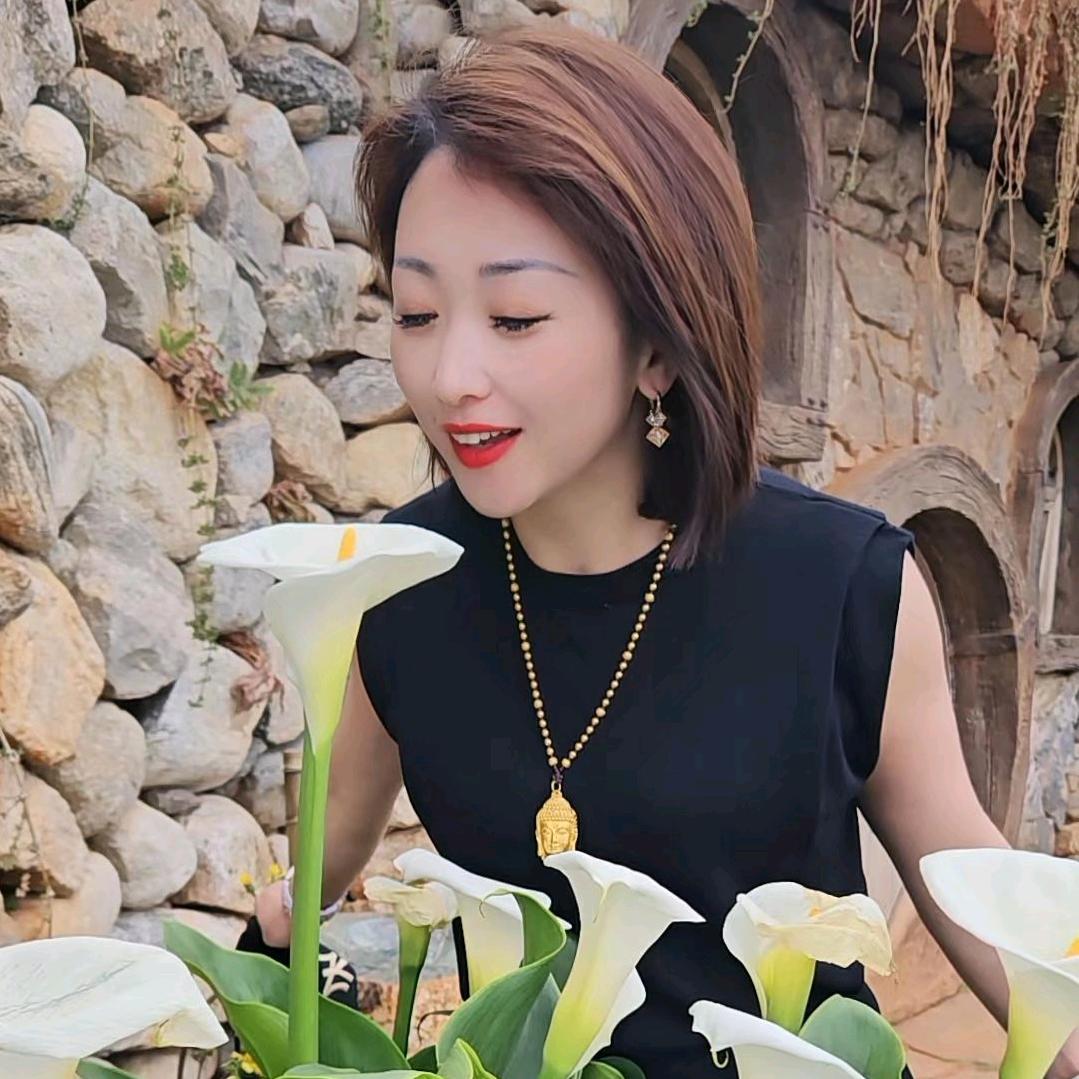 鞋凰9.9元洗鞋、洗衣店（总店加盟）