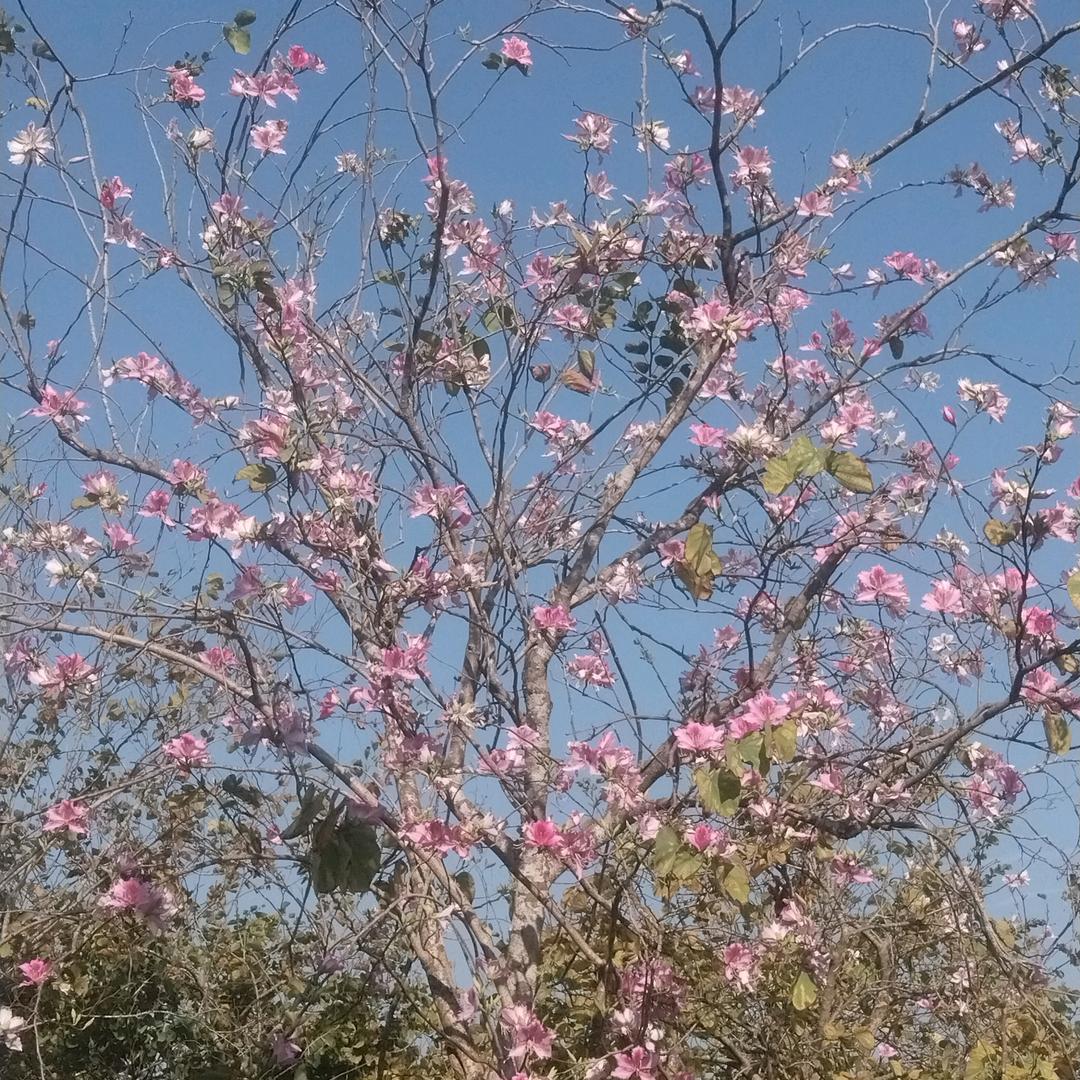 好运随身👍✌️✌️