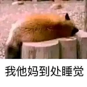 狠善良