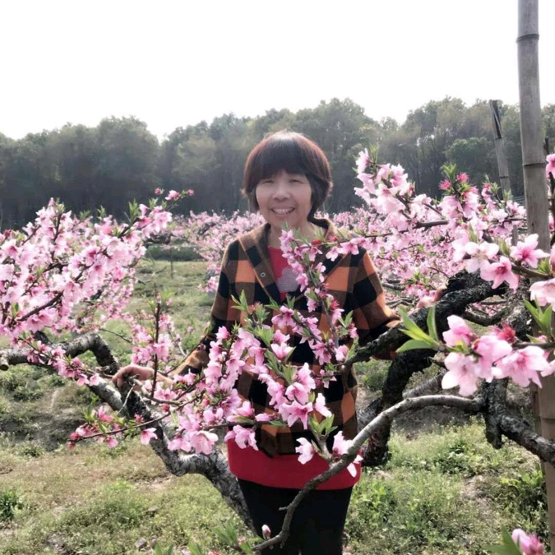 我园一亩地