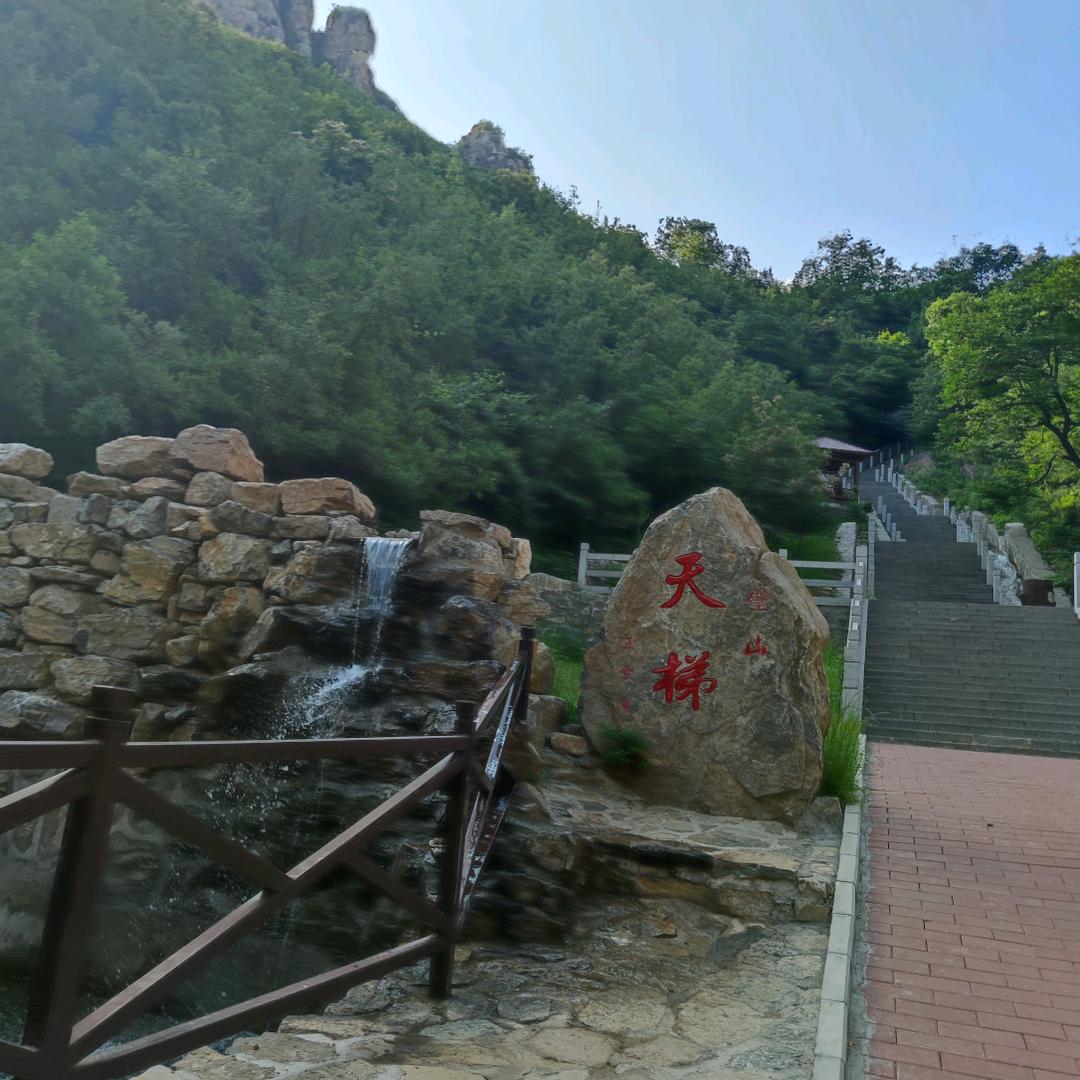 金源财务&张会计