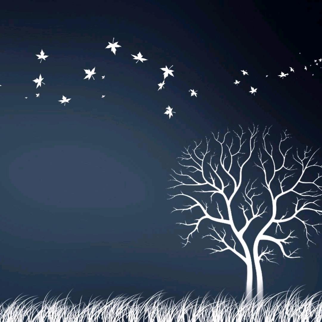 飞扬玉雕工作室