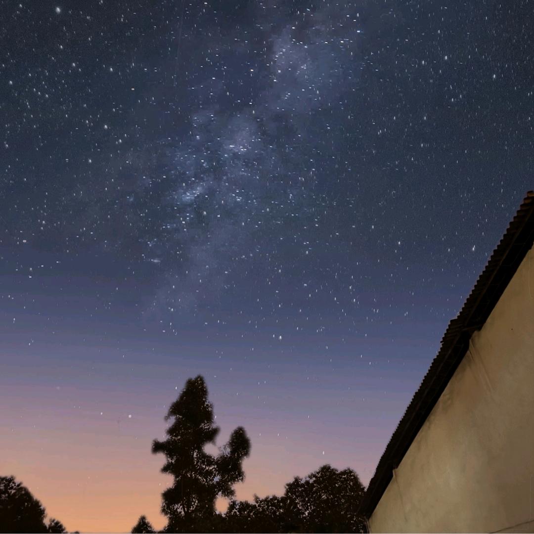 这世界喜欢善忘、