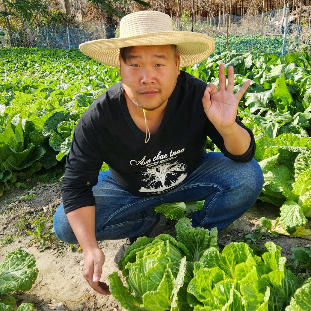 大乡（农民之声）