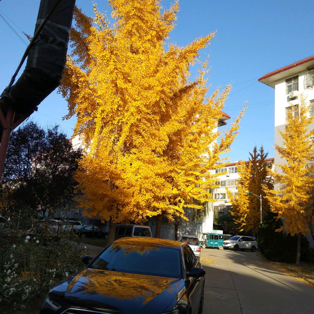 左岸袜业老员工