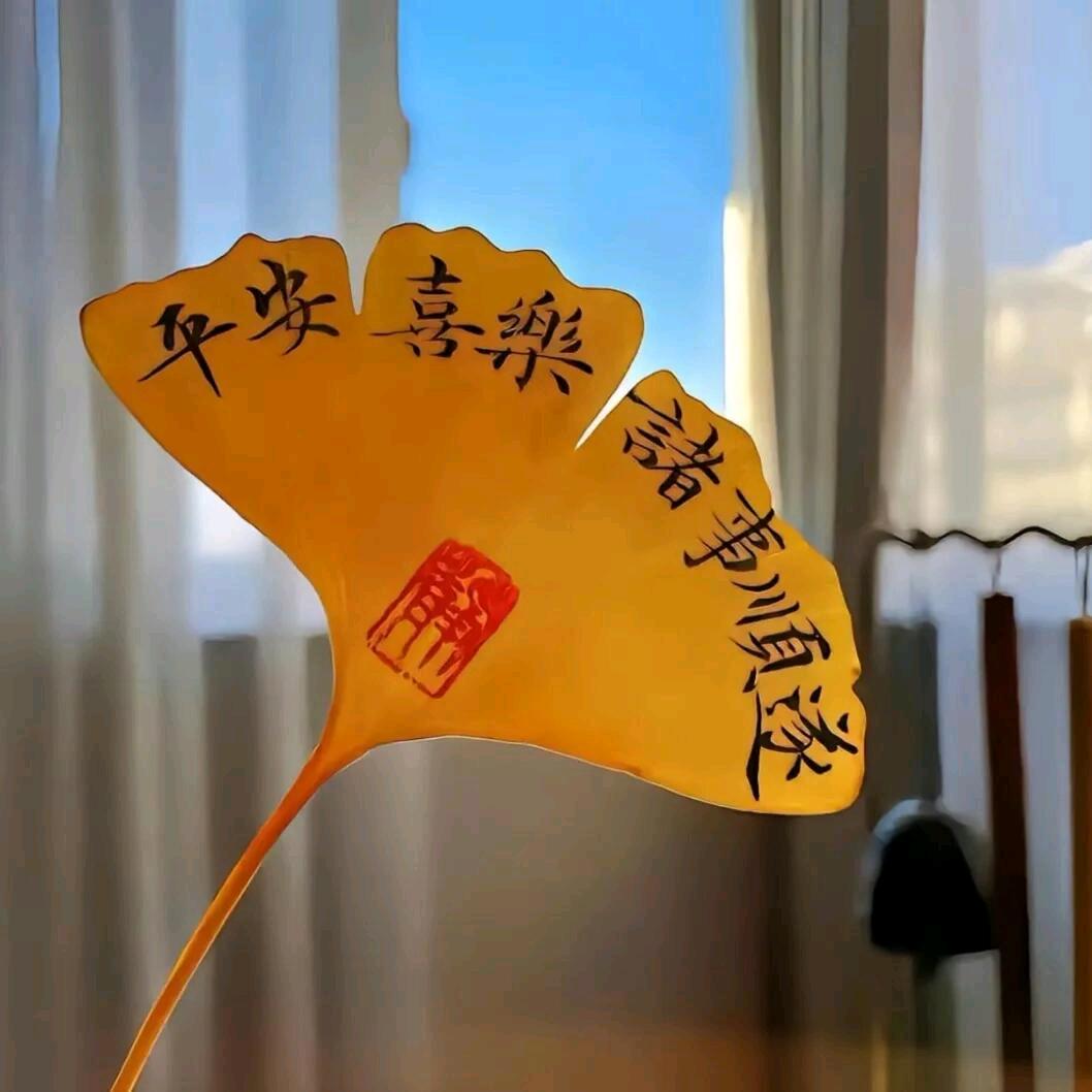 老曹优选社
